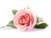 TIPPETT, Helen Rose - 2025-02-28 11.00